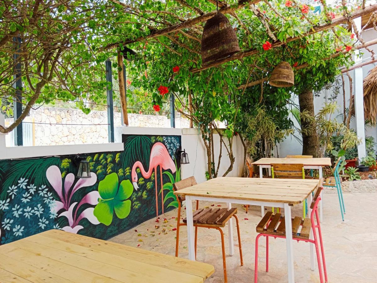 Tribe Inn Jungle & Flamingo Bayahibe Ngoại thất bức ảnh