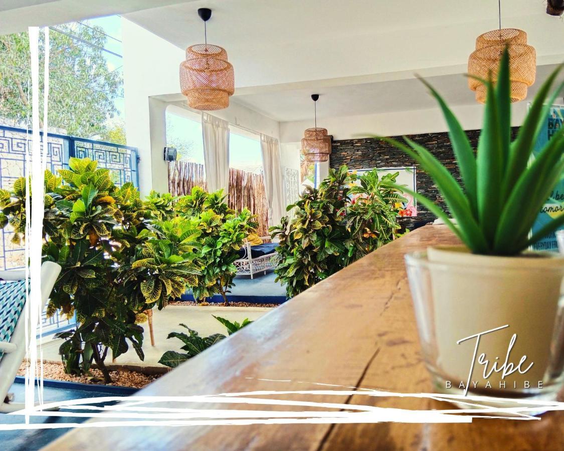 Tribe Inn Jungle & Flamingo Bayahibe Ngoại thất bức ảnh