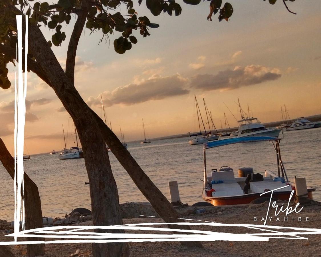 Tribe Inn Jungle & Flamingo Bayahibe Ngoại thất bức ảnh